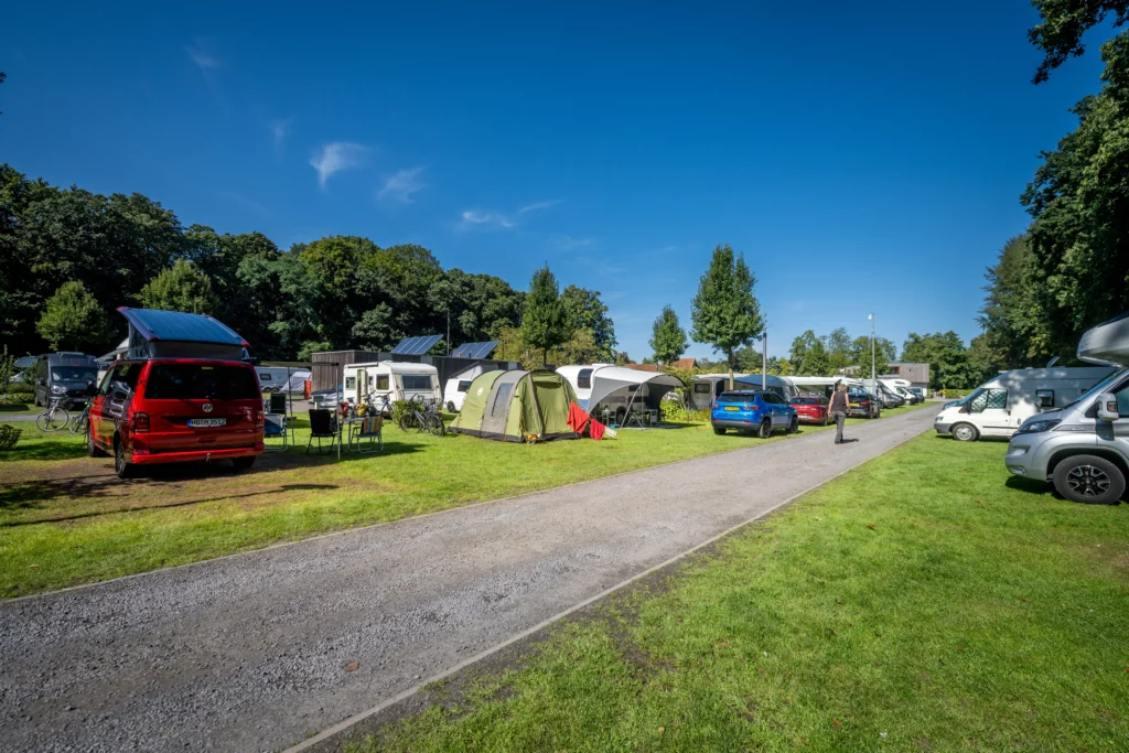 Linker pad Camping Memling